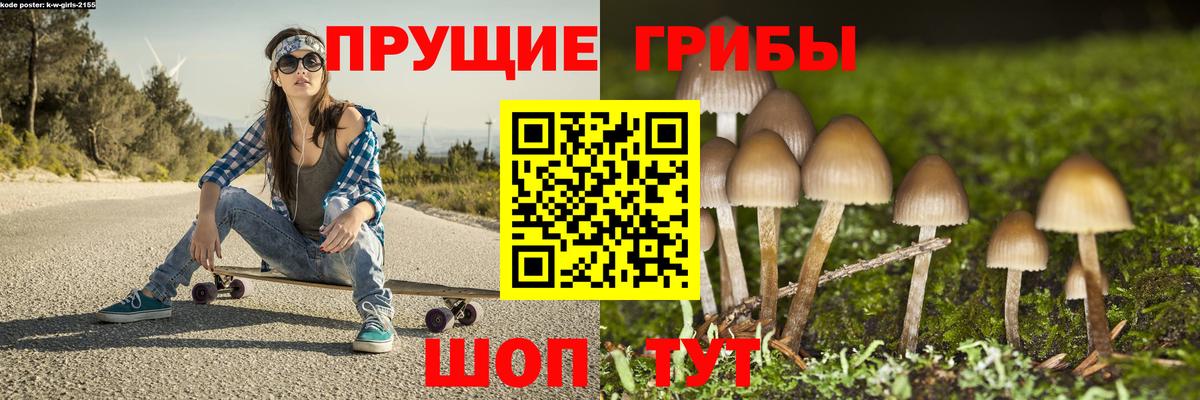 Псилоцибиновые грибы прущие грибы  Галлюциногенные грибы Psilocybe  купить наркоту  Лениногорск  Вход с VPN 